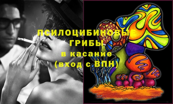 спиды Зеленокумск