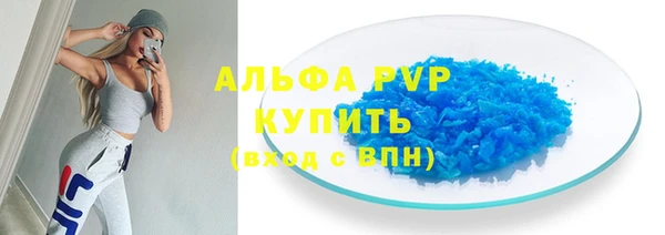 индика Елизово