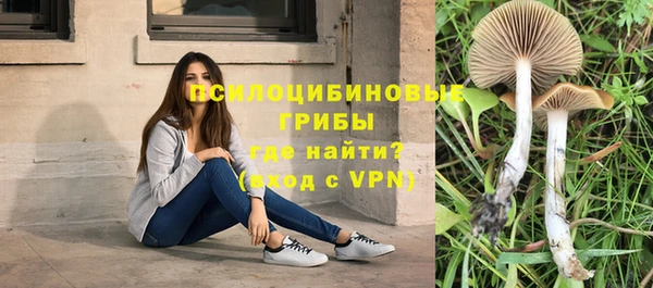 COCAINE Заводоуковск