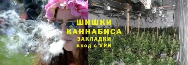 сатива Тутаев