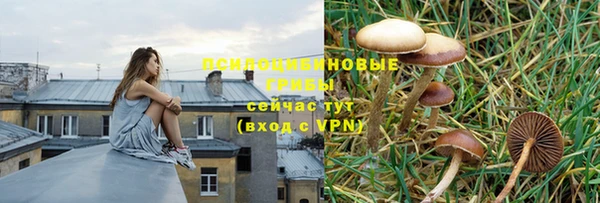 твердый Зеленодольск