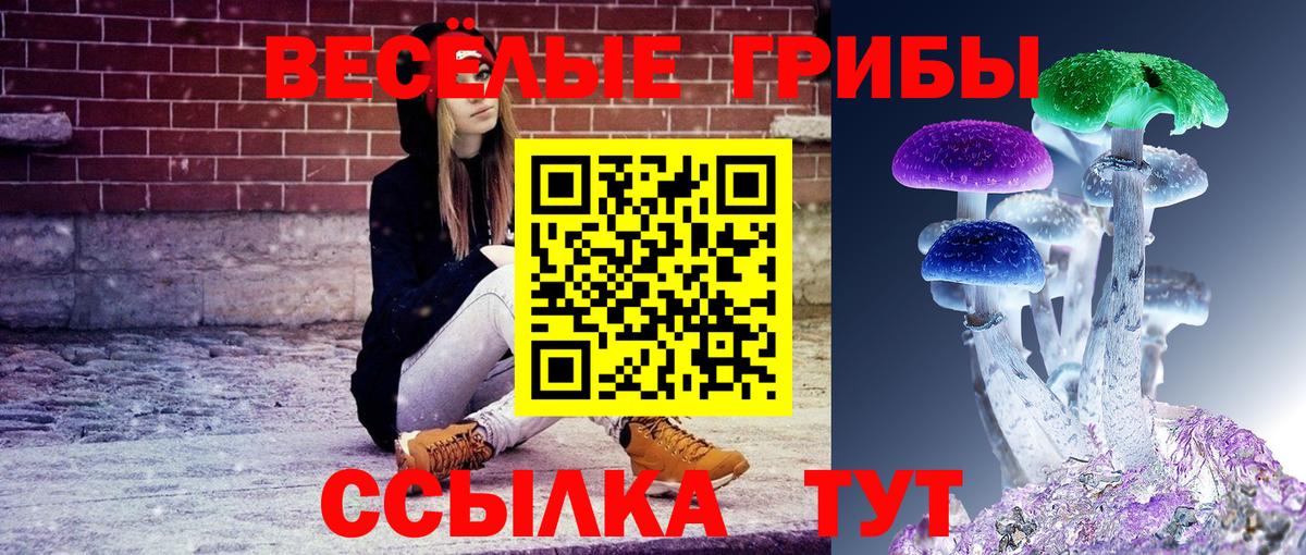 Галлюциногенные грибы Psilocybine cubensis Кинешма