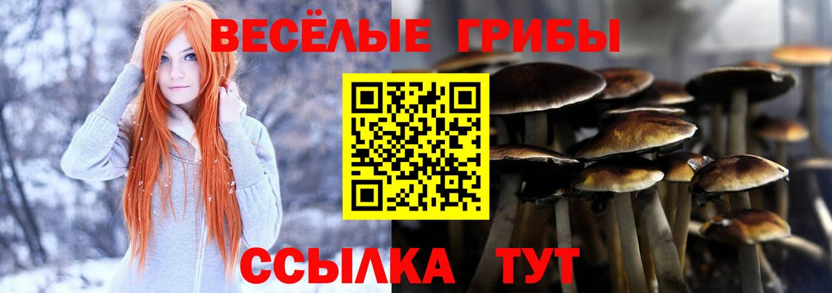 Галлюциногенные грибы MAGIC MUSHROOMS  купить наркотик  Кинешма  Галлюциногенные грибы GOLDEN TEACHER  Вход с VPN 