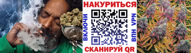 купить наркотики цена  MEGA ссылки  Канабис AK-47  Кинешма 